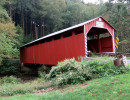 davis