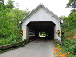 williamsville