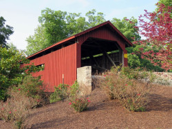 bowmansdale