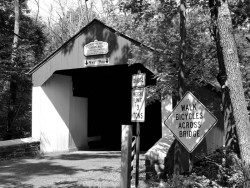 cabinrun