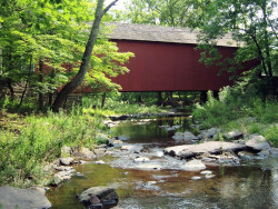 cabinrun