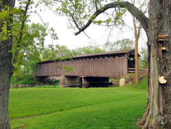 cedarsburg