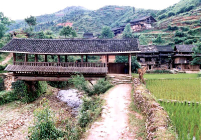 Chengyang #8