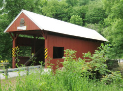 erskine