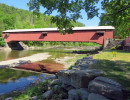 forksville