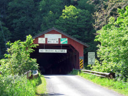 hillsgrove