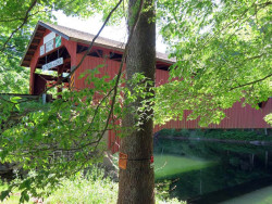 hillsgrove