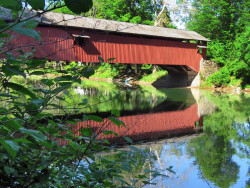 hillsgrove