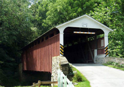 jackson sawmill