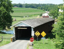 jackson sawmill