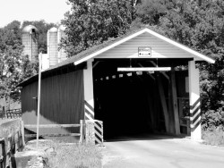 jackson sawmill