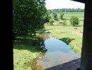 jackson sawmill