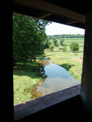 jackson sawmill