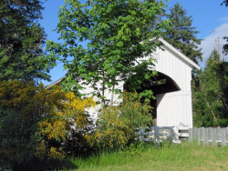 mosby creek