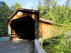 oregon creek