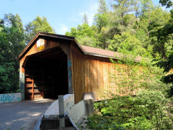 oregon creek