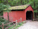 pine bank