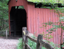 pine bank