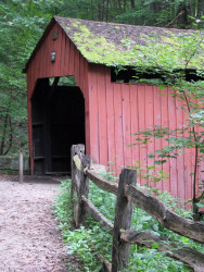pine bank