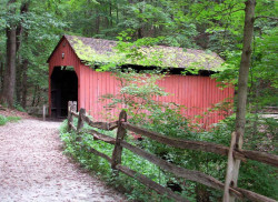 pine bank