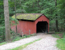pine bank