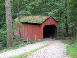pine bank