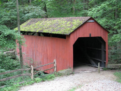 pine bank