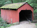 pine bank