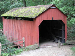 pine bank