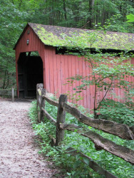 pine bank
